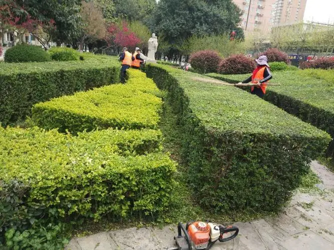 河道绿化工程怎么接地下管道