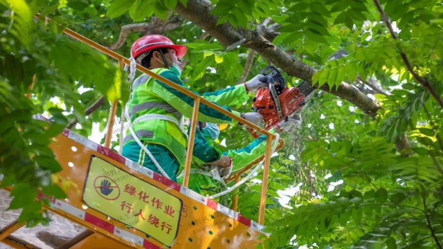 沙口路沿线铁路绿化工程