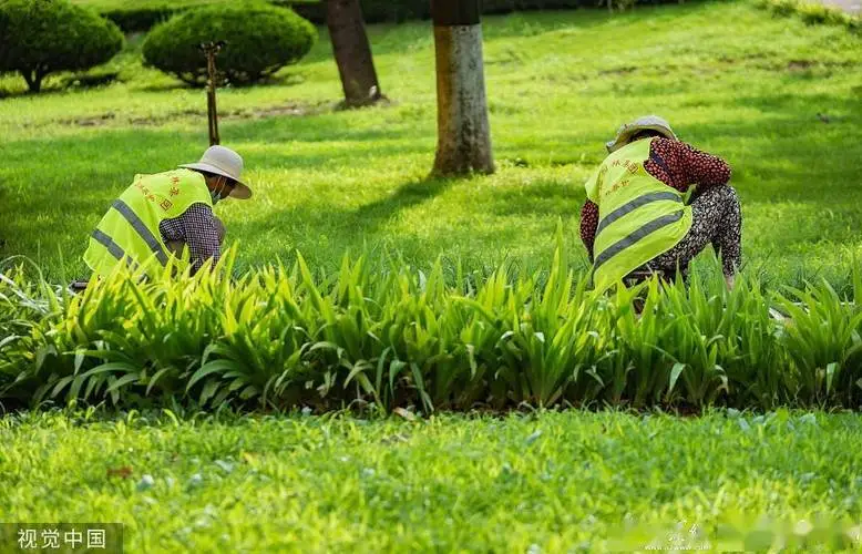打造宜居城市园林景观设计